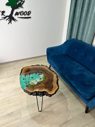Epoxy Aquarium Coffee Table