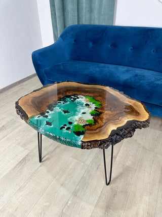 Epoxy Aquarium Coffee Table