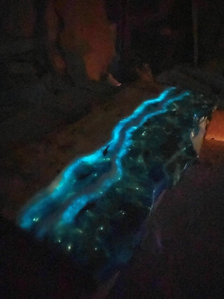 Оcean live edge resin dining table