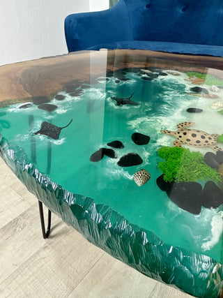 Aquarium coffee table