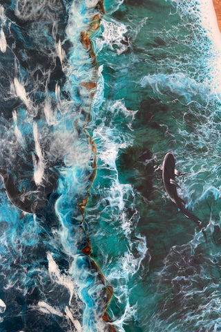 Ocean Resin Cabinets