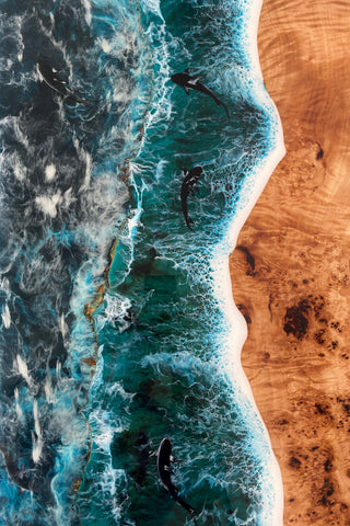 Ocean Resin Cabinets