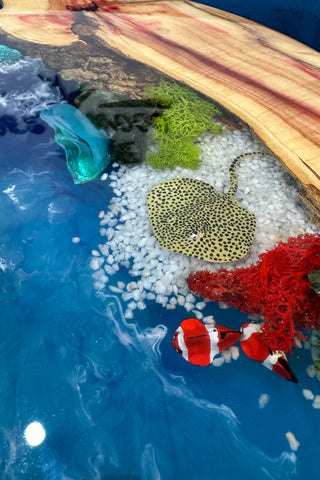 Round Aquarium Epoxy Coffee Table