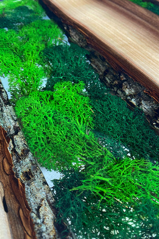 Round Epoxy Coffee Table with Moss