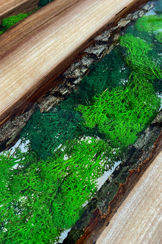 Round Epoxy Coffee Table with Moss