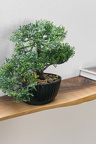 Live Edge Wood Slab Shelf
