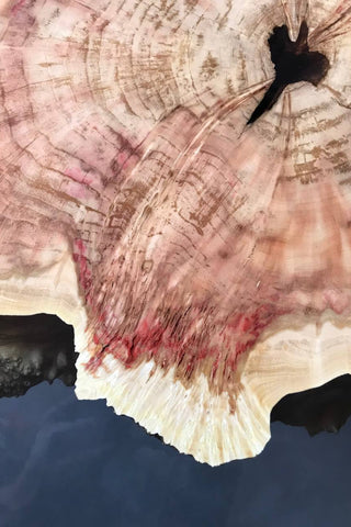Epoxy Wood Table Black Maple